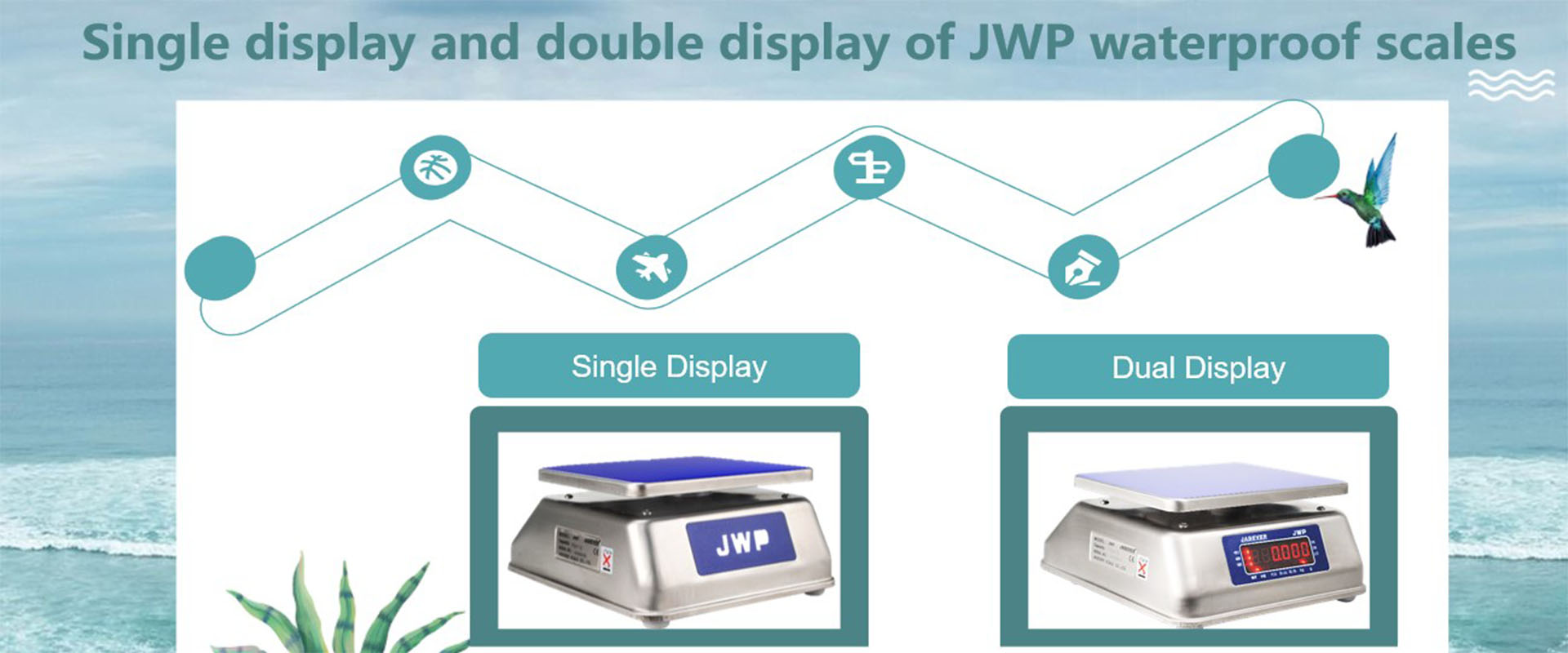 Màn hình đơn và màn hình kép của cân chống thấm JWP
